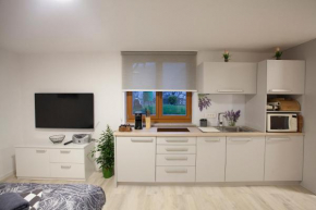 Studio Jan Zgornje Jezersko